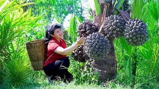 How to Harvest Nipa Palm Tree, goes To Market Sell - Harvesting and Cooking |Tieu Vy Daily Life