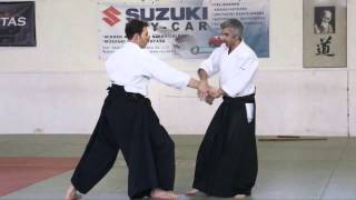 Aikido:Bruno Gonzalez / Budapest 02 2012