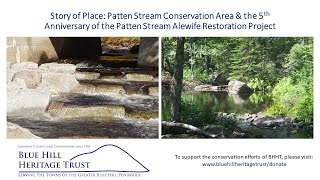 BHHT Story of Place: Patten Stream & the 5th Anniversary of the Alewife Restoration Project