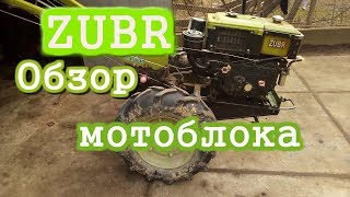 обзор мотоблока ZUBR