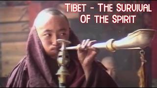 The Peaceful Tibetan Struggle For Survival | Tibet - The Survival Of The Spirit