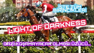 Dişi Tay Deneme Galibi LIGHT OF DARKNESS'ın Tüm Birincilikleri!!!