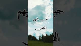 رَبِّي ارْحَمْهُمَا كَمَا رَبَّيَانِي صَغِيرًا