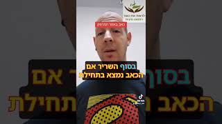 כאבים במרפק טניס אלבו מרפק טניס #רפואהמשלימה #רפואהסינית #כאבים #כאבכרוני #טניסאלבו #מרפקטניס