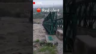 🛑 Red alert ‼️|📍manali‼️  kullu | 

🛑 live #shorts #viral #viralvideo #breakingnews #news #update