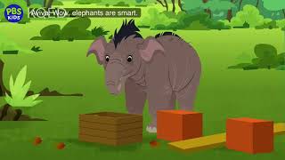 Wild Kratts ￼- Elephant Brains - full episode