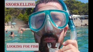 Snorkelling Looking For Fish