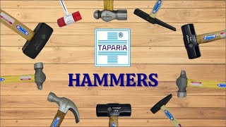 Unveiling the Legacy of Hammers