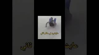 حياة الاوتاكو باختصار💀