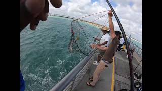 Sebastian Inlet Snook Fishing Then Back Yard Sheepshead Fishing‼️