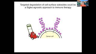 Carolyn Bertozzi: Therapeutic Opportunities in Glycoscience