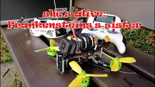 frankenstein's fpv sister ugly but flies