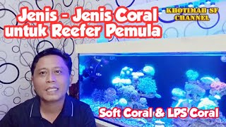 JENIS - JENIS CORAL UNTUK REEFER PEMULA