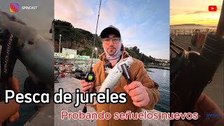 PESCA DE JURELES .Probando señuelos de MAJORCRAFT y CULTIVA con los esquivos jureles de de invierno.