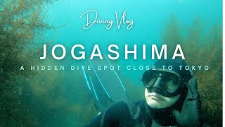 Freediving in Jogashima - A Hidden Dive Spot Close to Tokyo