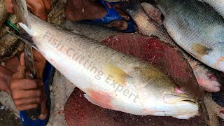 Fish cutting skills with knife, Expert fisherman barramundi fish cutting at Bangladesh fish market