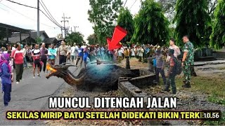 BATU VIRAL❗awalnya di kira warga batu biasa ternyata jelmaan kepala ular purba