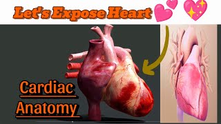 Anatomy of Heart animation| @DrsobiaPT