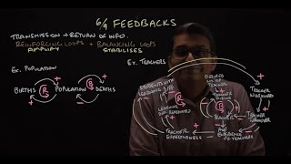 Amplify or Stabilise systems with Feedbacks - Systems Thinking Mini Series (6/9) - Mental Models