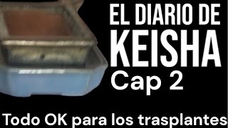 Todo OK para los trasplantes Diario de keisha, Cap 2.