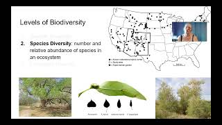 Levels of Biodiveristy