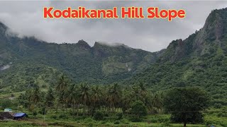 தமிழ்நாட்டின் இயற்கை அழகு | Kodaikanal Hills Slope | மண்ணும் மனசும்