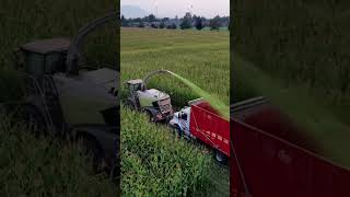 Agriculture with Modern Machinery #shorts #viralshorts