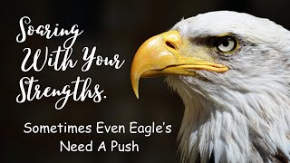 The Push || Even Eagle Need A Push || David McNally