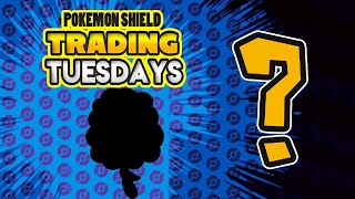 Pokemon Shield - Trading Tuesdays - Yum Yum Cotton Candy!