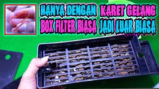 CARA MODIFIKASI BOX FILTER AQUARIUM DENGAN KARET ‼️ FILTER AQUARIUM #3 ‼️