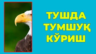 Туш табири - Тушда тумшук куриш