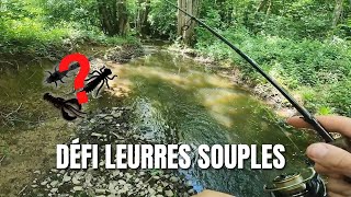 SURPRISE dans ce petit ruisseau ! Défi pêche aux LEURRES SOUPLES