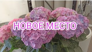 Мой завтрак😋 Новое место🛍️