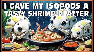 Discover the fascinating world of my isopods as they devour shrimps in Isopod House Terrarium