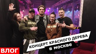 Тусим в VIP-e с Гио Пика. Концерт "КРАСНОГО ДЕРЕВА" в Москве. Влог