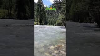 River Pankora, Kumrat Valley, Upper Dir, KPK #shorts #youtubeshorts #travel #naturelovers #nature