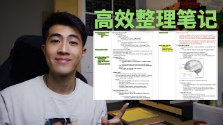 【干货】如何高效整理课堂笔记?｜How to take & organize lecture notes effectively!｜全英双字