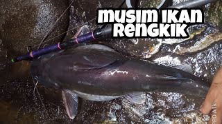 berburu ikan rengkik di malam hari