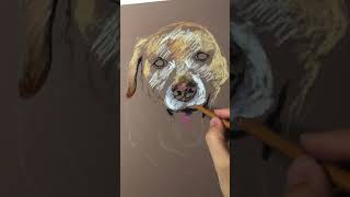 Wait for it 🎨 & Don't Miss End ? #dog #painting #tetorial #amazing #youtubeshorts #shorts