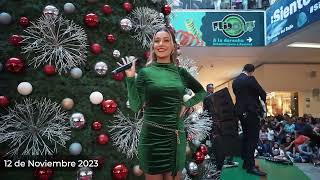 ENCENDIDO DEL ARBOL ALTACIA 2023