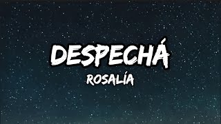 ROSALÍA - DESPECHÁ ( Lyrics) - KAROL G, Peso Pluma, Aventura, Bad Bunny