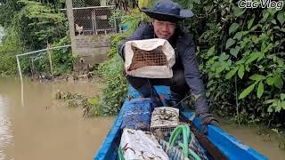 Thăm bẫy rắn ngay mưa bão dính 2 em hổ mã quá to