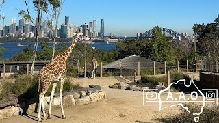 Taronga Zoo, Sydney Australia - The very BEST of Sydney !!