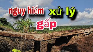 Sự Cố QUÁ NGUY HIỂM Khẩn trương XỬ LÝ và ...