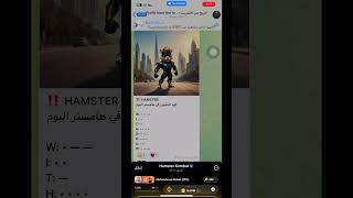 الشفرة اليومية لكلمة المليون بوت هامستر  |#hamsterbot #hamsterkombat #crypto