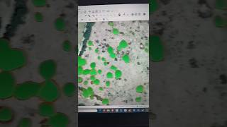 Segmentar automáticamente objetos en QGIS