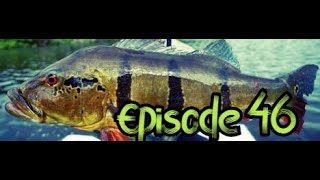 Freshwater Fishing Peacock Bass Tememsis Compilation Episode 46