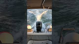 GO PRO 11 BLACK & MARİN BOAT SAMBA LONG TEKNE & MERCURY 115 HP EFI  MOTOR