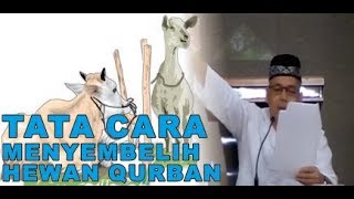 Tata Cara Penyembelihan Hewan Qurban - Ustadz Munzir Situmorang