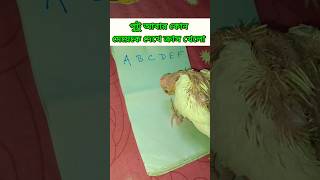 পুটু আবার কোন মেয়েকে দেখে ক্রাশ খেলো দেখো😂🥵#funny#viralvideo#shortsfeed#comedy#viralshorts#cokatiel